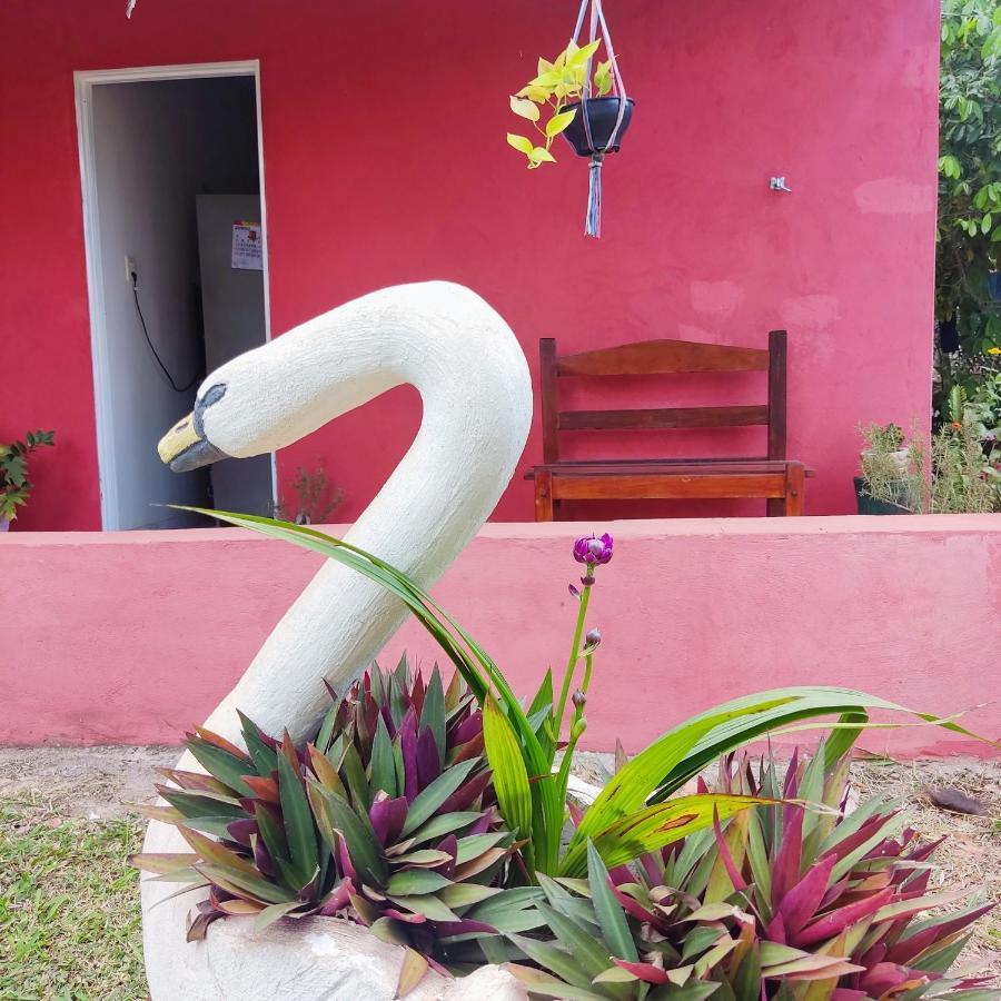 Espaco Slow Living Flor Do PantanalPiraputanga エクステリア 写真